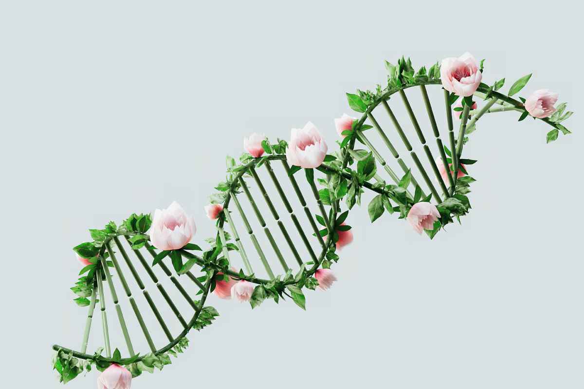 quante informazioni possono stare nel DNA? 