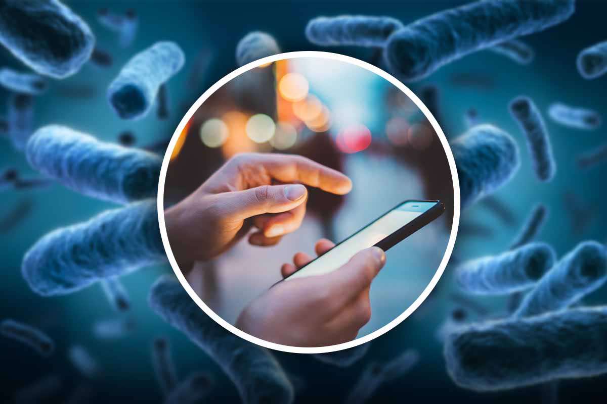 10 tipologie di batteri ritrovate sugli schermi degli smartphone